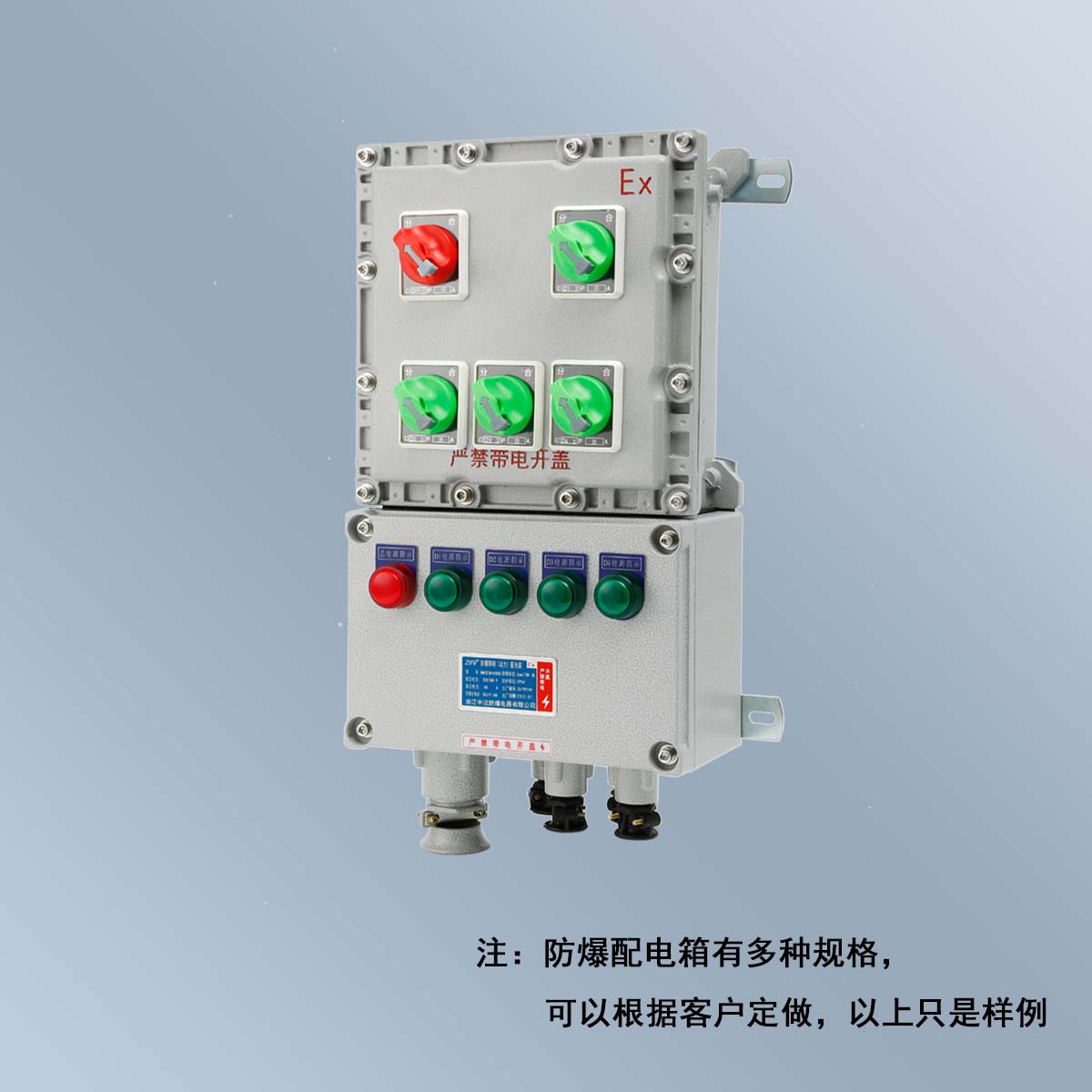 BXM(D)58 系列防爆照明(動力)配電箱 (ⅡB、ⅡC、DIP)